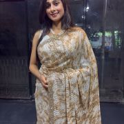 Digital Printed Sequence Saree