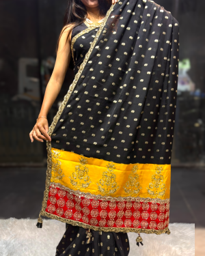 Black Chinnon with 2D Contrast Color Pallu