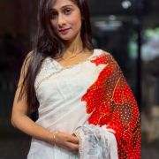 Floral Printed Chinnon handwork Saree