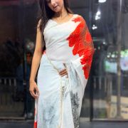Floral Printed Chinnon handwork Saree