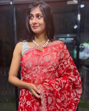 Ziya Handcrafted Organza Chikankari