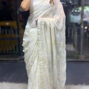 Sitara Jaal Chikankari Off-White