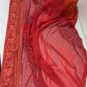 Ishq-e-Chikan – A timeless ode to traditional artistry