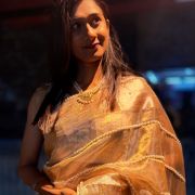 Pearl Radiance Banarasi Tissue Silk Saree