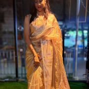 Pearl Radiance Banarasi Tissue Silk Saree