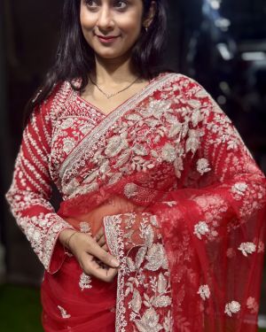 Noor-E-Zehen Handcrafted Net Drape