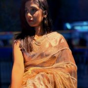 Pearl Radiance Banarasi Tissue Silk Saree