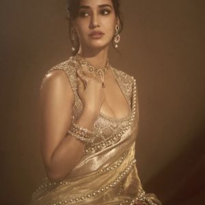 Pearl Radiance Banarasi Tissue Silk Saree